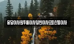 충청남도 부여군 외산면 이사,용달이사,포장이사,원룸이사,보관이사