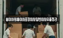 봄이사원룸이사포장이사일반이사유품정리