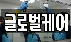 글로벌케어