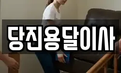 당진용달이사