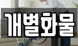 개별화물