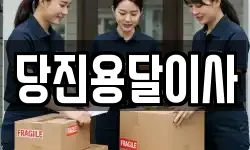 당진용달이사