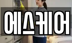 에스케어