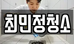 최민정청소