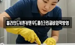 블라인드커튼커텐우드롤스크린콤비암막방염