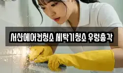 서산에어컨청소 세탁기청소 우렁총각