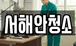 서해안청소