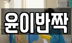 윤이반짝
