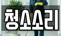 청소소리