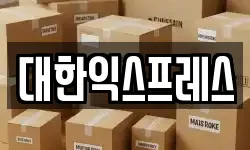 대한익스프레스