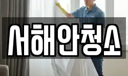 서해안청소