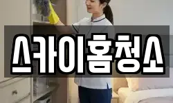 스카이홈청소