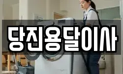 당진용달이사