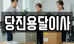 당진용달이사