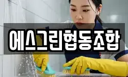 충청남도 서산시 온석동 청소,입주청소,사무실청소,에어컨청소