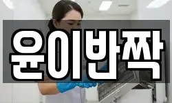 윤이반짝