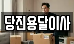 당진용달이사