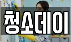 청소데이