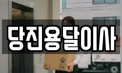 당진용달이사