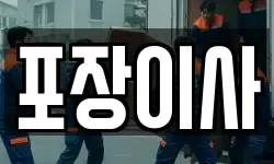 포장이사