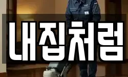 내집처럼