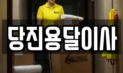 당진용달이사