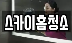 스카이홈청소