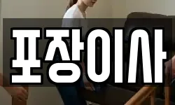 포장이사