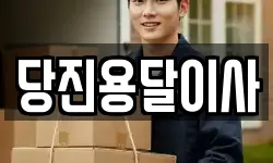 당진용달이사