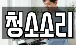 청소소리