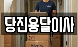 당진용달이사