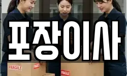 포장이사