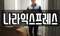 나라익스프레스