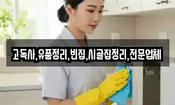 충청남도 서천군 비인면 청소,입주청소,사무실청소,에어컨청소