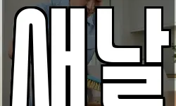 새날