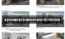 용달이사원룸투룸오피스텔이사사무실이사1톤트럭반포장이사