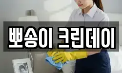 뽀송이 크린데이