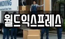 월드익스프레스