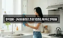 정식업체-고독사유품정리,쓰레기집청소,특수무료견적비용