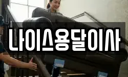 나이스용달이사