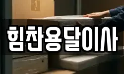 힘찬용달이사