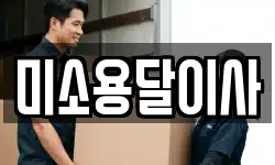 미소용달이사