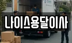 나이스용달이사