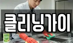 클리닝가이