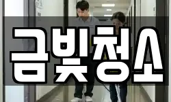 금빛청소