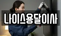 나이스용달이사
