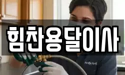 힘찬용달이사