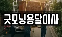 굿모닝용달이사