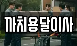 까치용달이사
