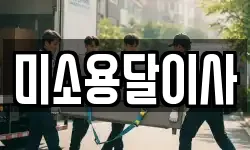 미소용달이사